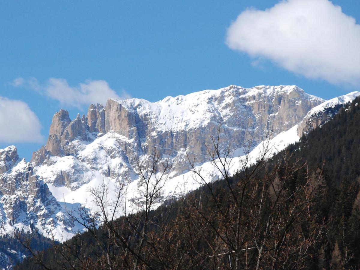 Apartment Villa Placidia-1 By Interhome Campitello di Fassa Εξωτερικό φωτογραφία